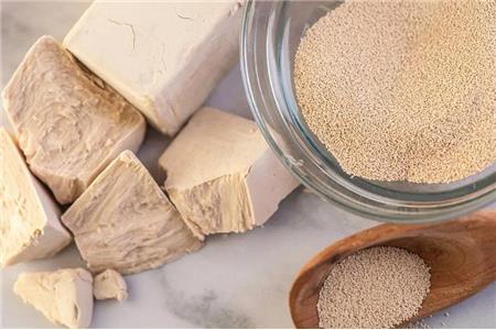 خمیر مایه فوری چیست؟