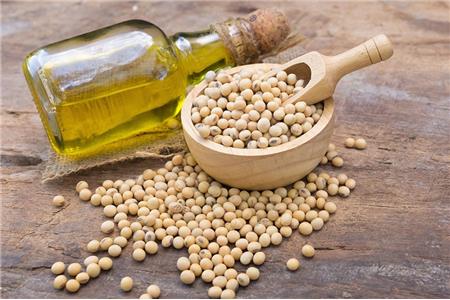 لسیتین چیست و انواع آن کدام است؟