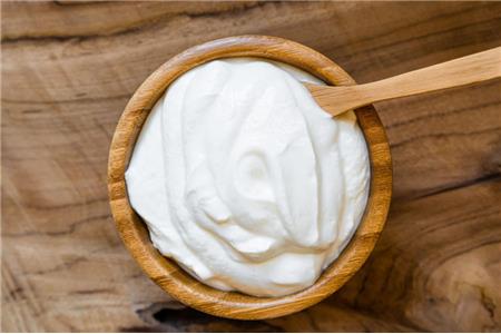  بهترین مایه ماست