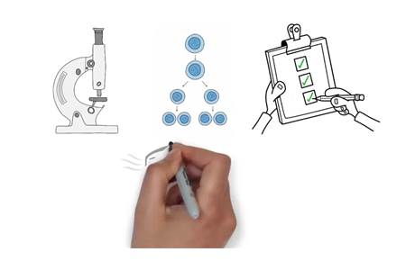 معرفی آنزیم FlavoRole