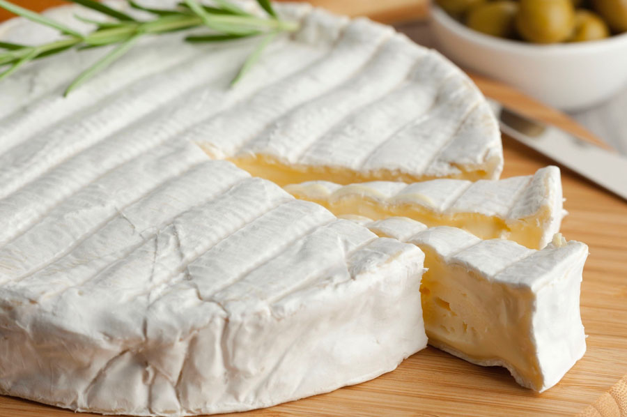 بهترین مایه پنیر