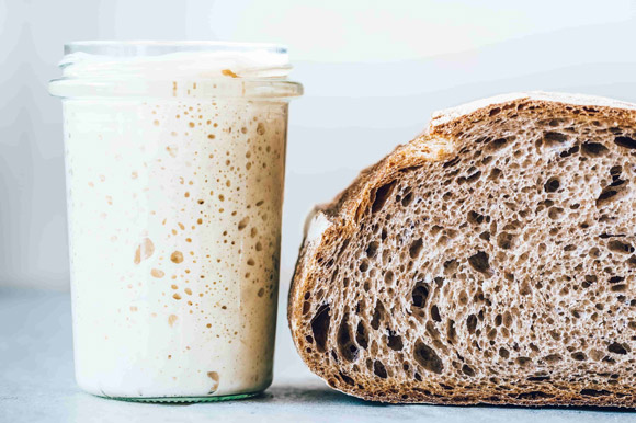 استارتر خمیر ترش چیست