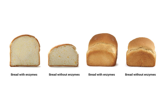 اسید آسکوربیک