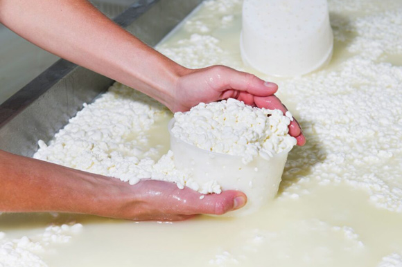 The Best Cheese Rennet