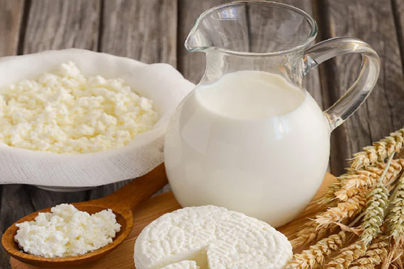 انواع بهترین مایه پنیر