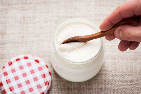 بهترین مایه ماست