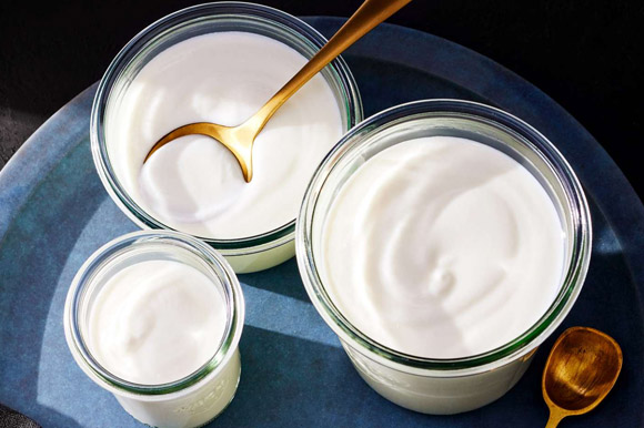 بهترین نوع مایه ماست