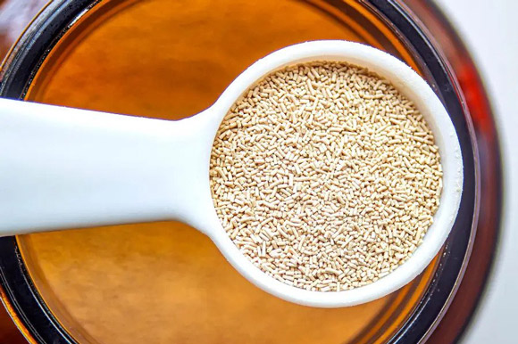 خمیر مایه فوری از چی درست میشه