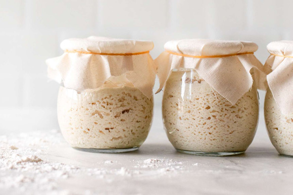 خمیر مایه خشک فوری چیست