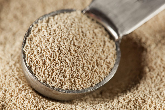 خمیر مایه فوری چیست