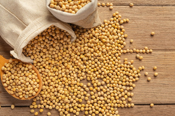 لسیتین چیست؟