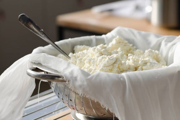 انواع کلی مایه پنیر