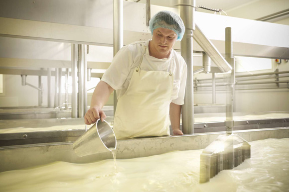 General Types of Cheese Rennet