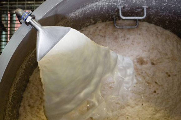 کاربرد فرمانتور در صنعت نان