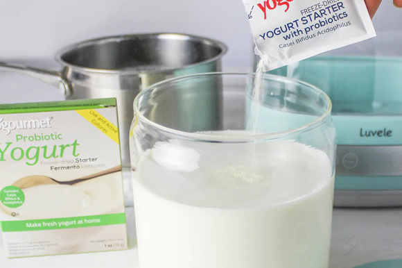 What is Yogurt Starter Culture?