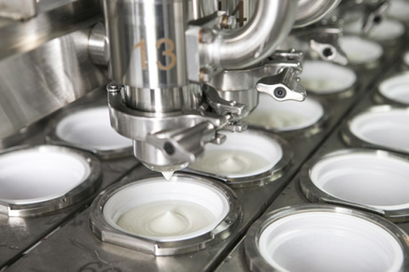 The Best Yogurt Starter Culture